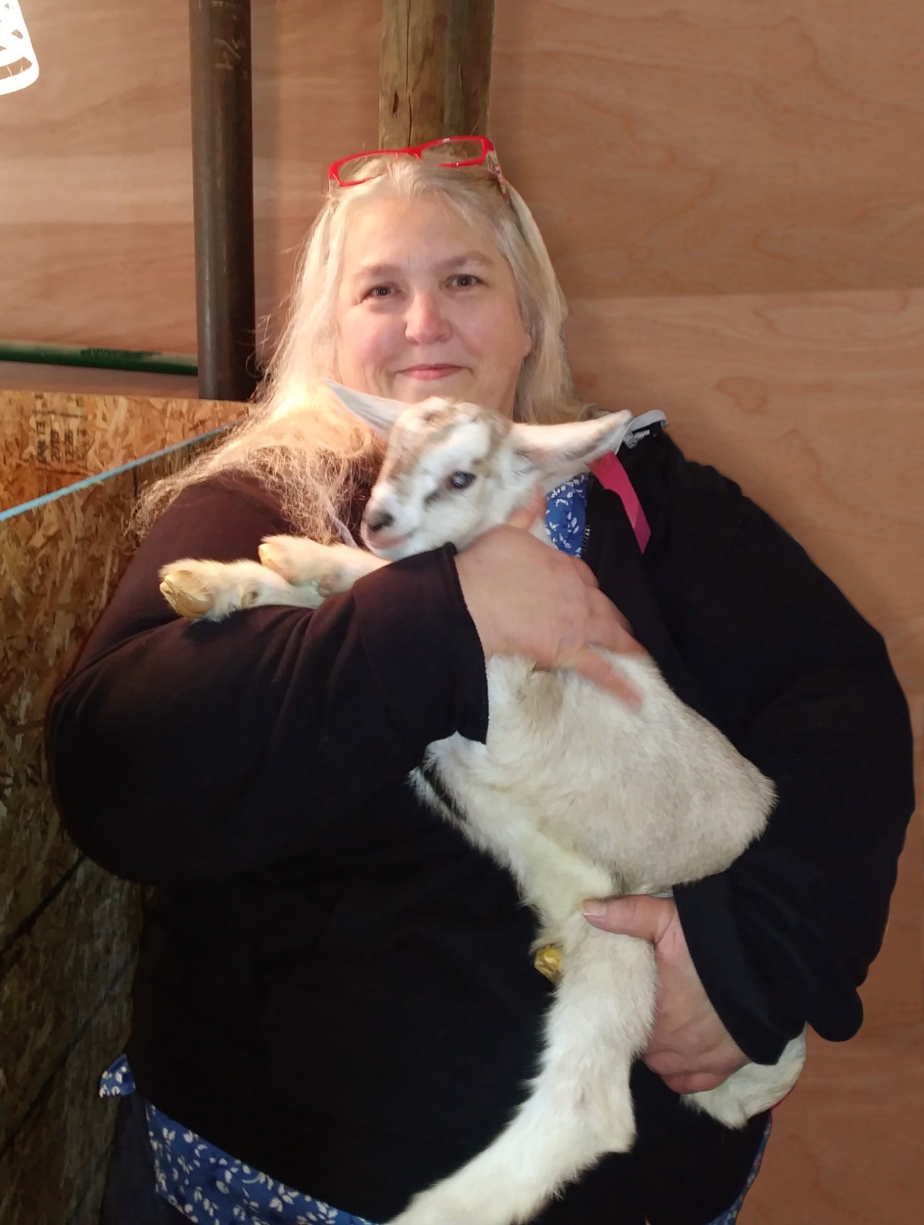 Lisa Elaine Huebner