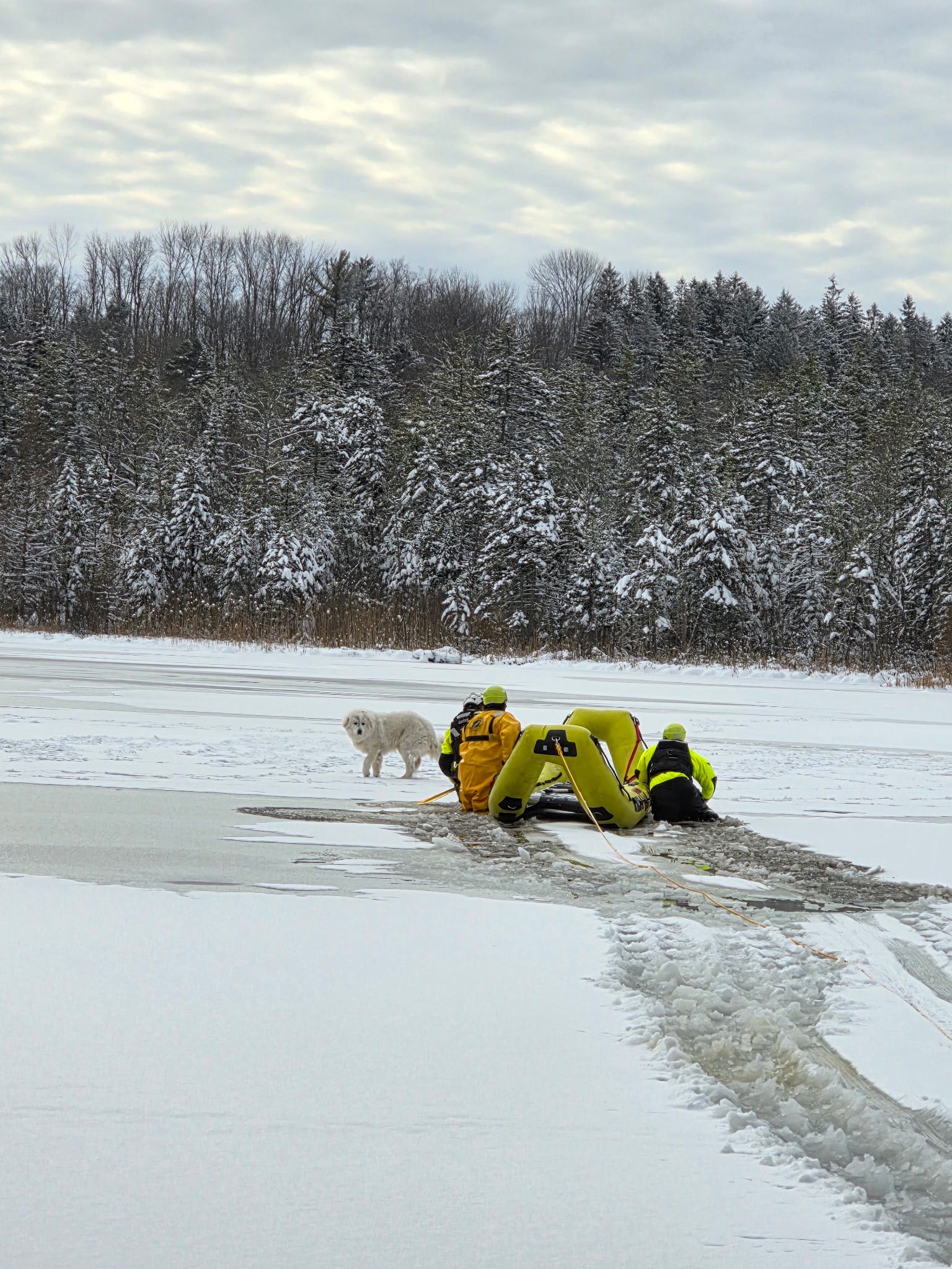 Barneveld Fire Department Rescue Dog December 2025
