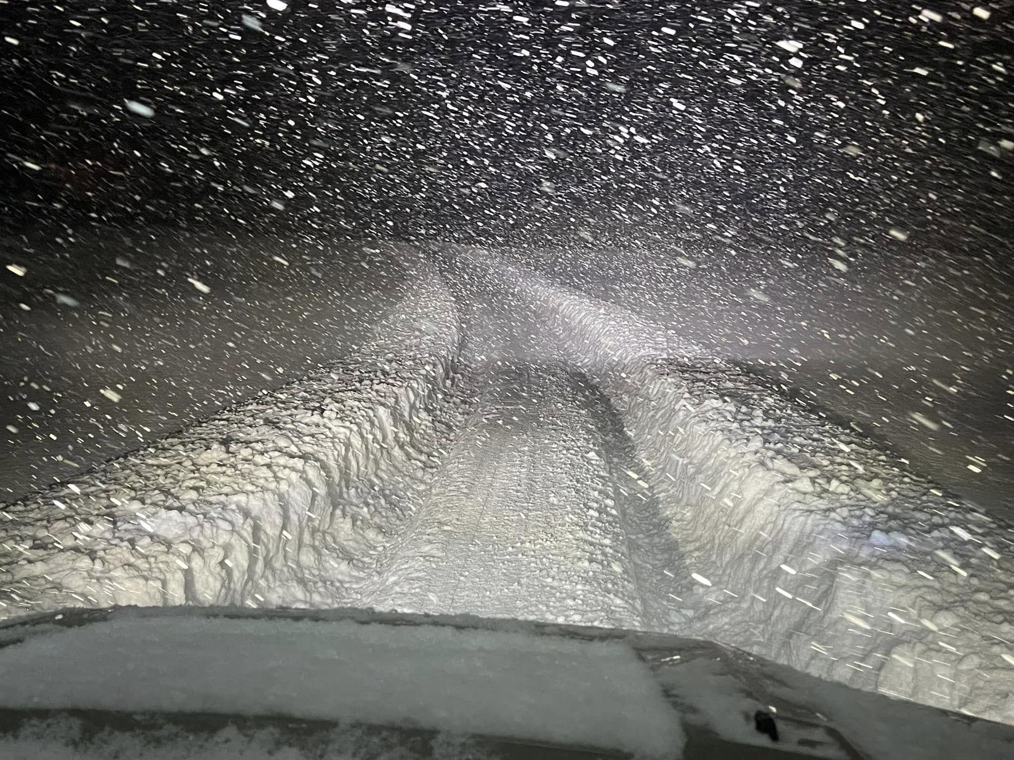 Charlie Domville Ava Snow January 2025