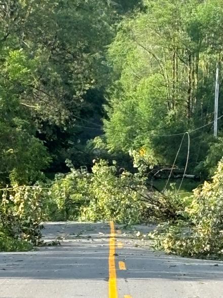 DEC Hinckley Day Use Area Storm Damage July 2024