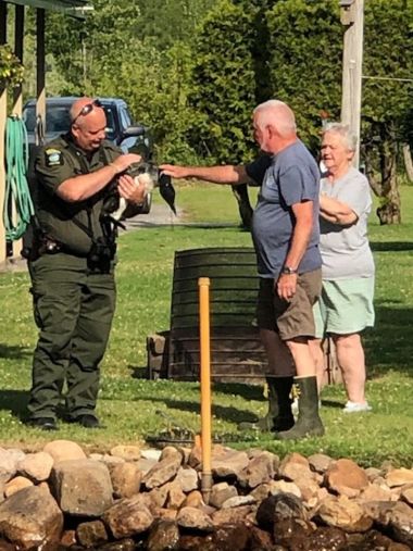 DEC Tangled Loon 2022