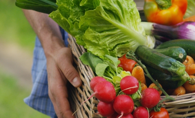 Hochul Farm Fresh Food
