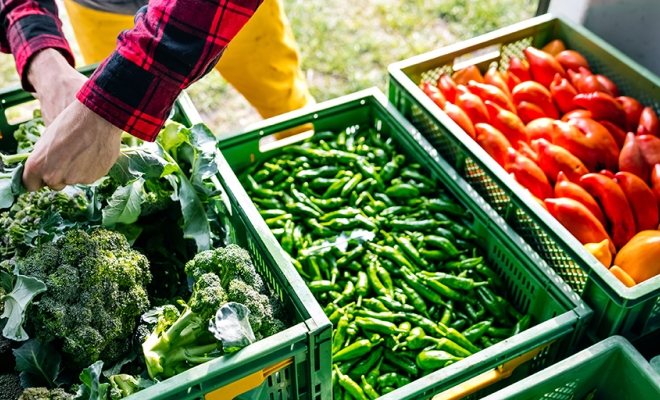 Hochul Nourish New York December 2024