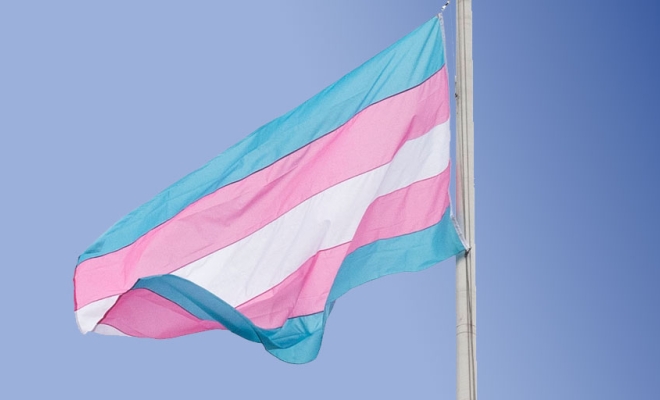 Hochul Transgender Awareness Month 2024