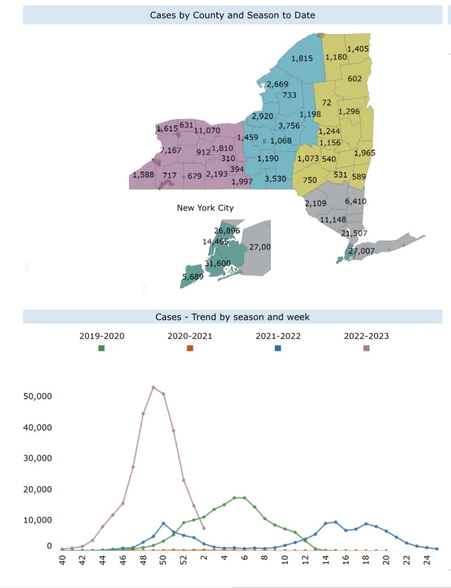 January 26 NYS Flu Chart