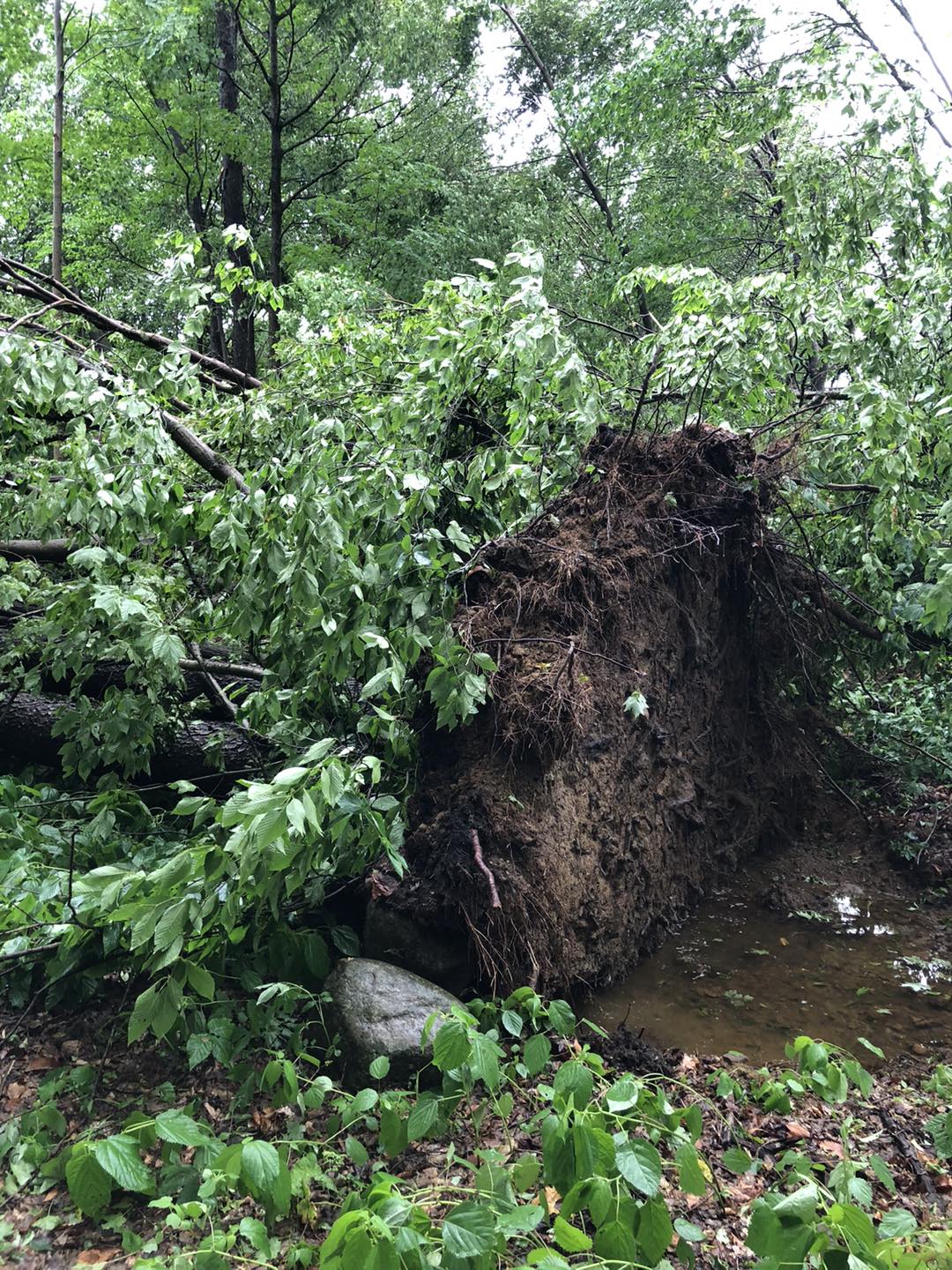 June 2025 Storm Damage