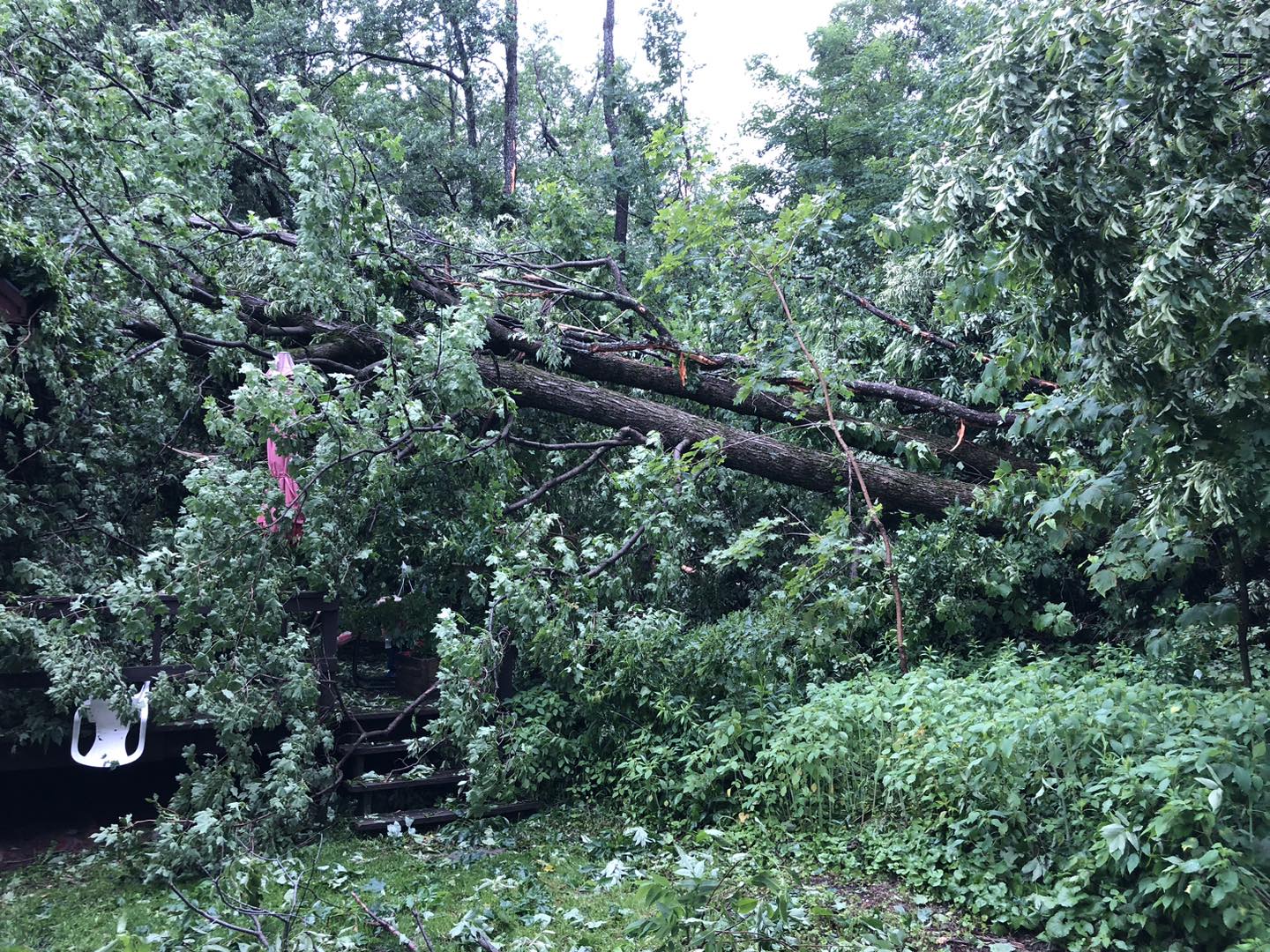 June 2025 Storm Damage 2