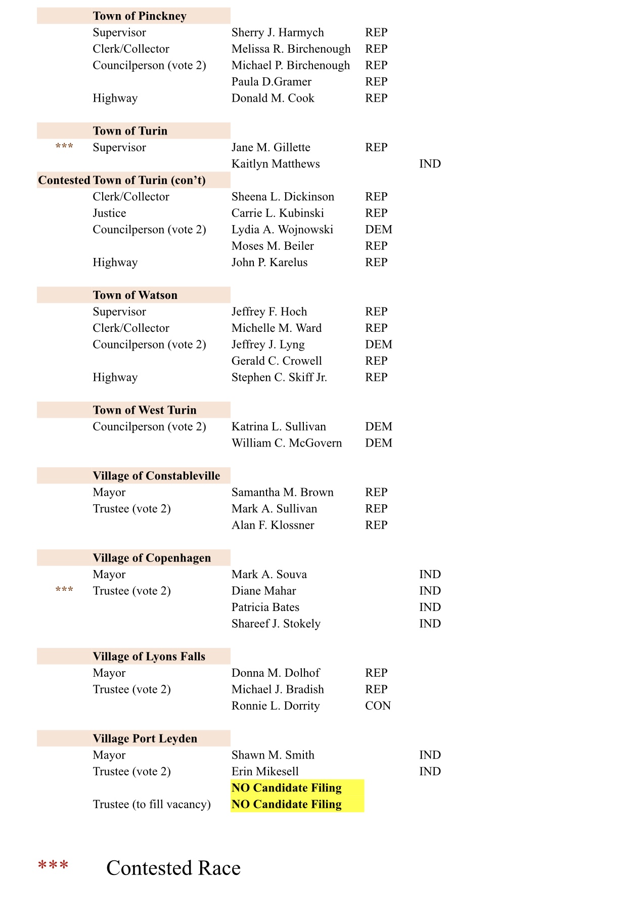 Lewis County Ballot 2023 4