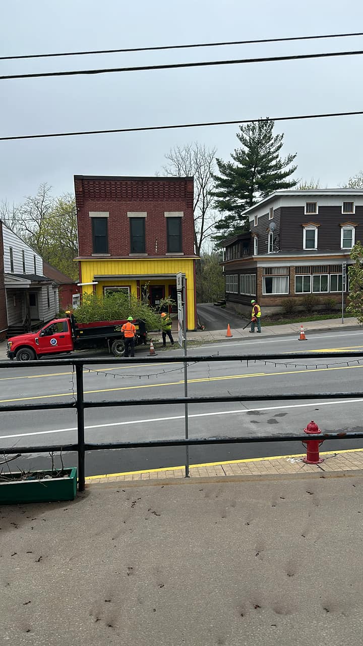 Lowville DPW Tree Removal South State Street May 2024