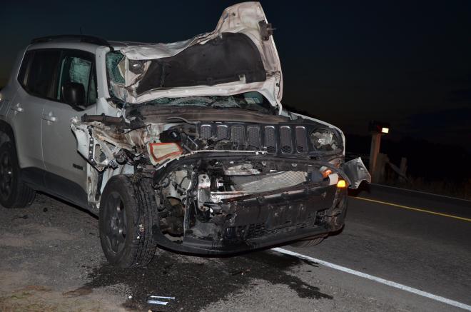 NYSP Amish Buggy Wreck Newport October 2024