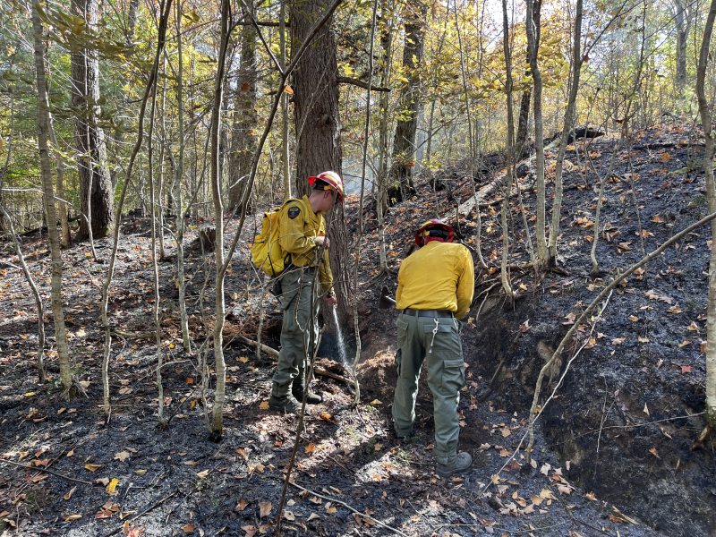 NYS DEC Croghan Wildfire October 2025