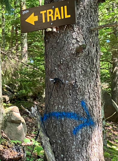 NYS DEC Illegal Trail Marker Inlet July 2025