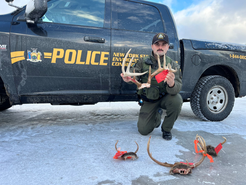 NYS DEC Jefferson County Deer Poaching Bust January 2026