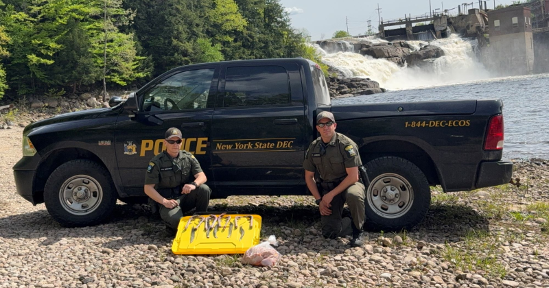 NYS DEC Turkey Bust Lewis County May 2025