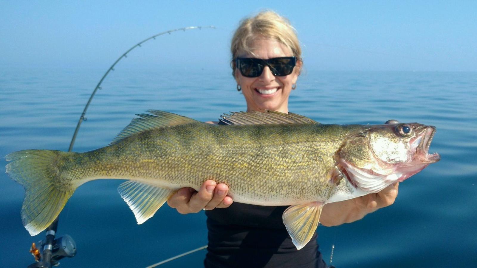 NYS DEC Walleye