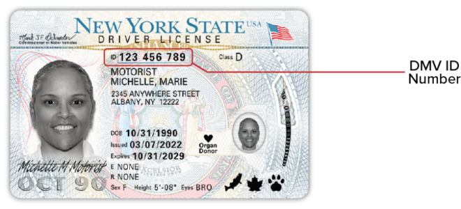 NYS DMV ENHANCED ID Sample