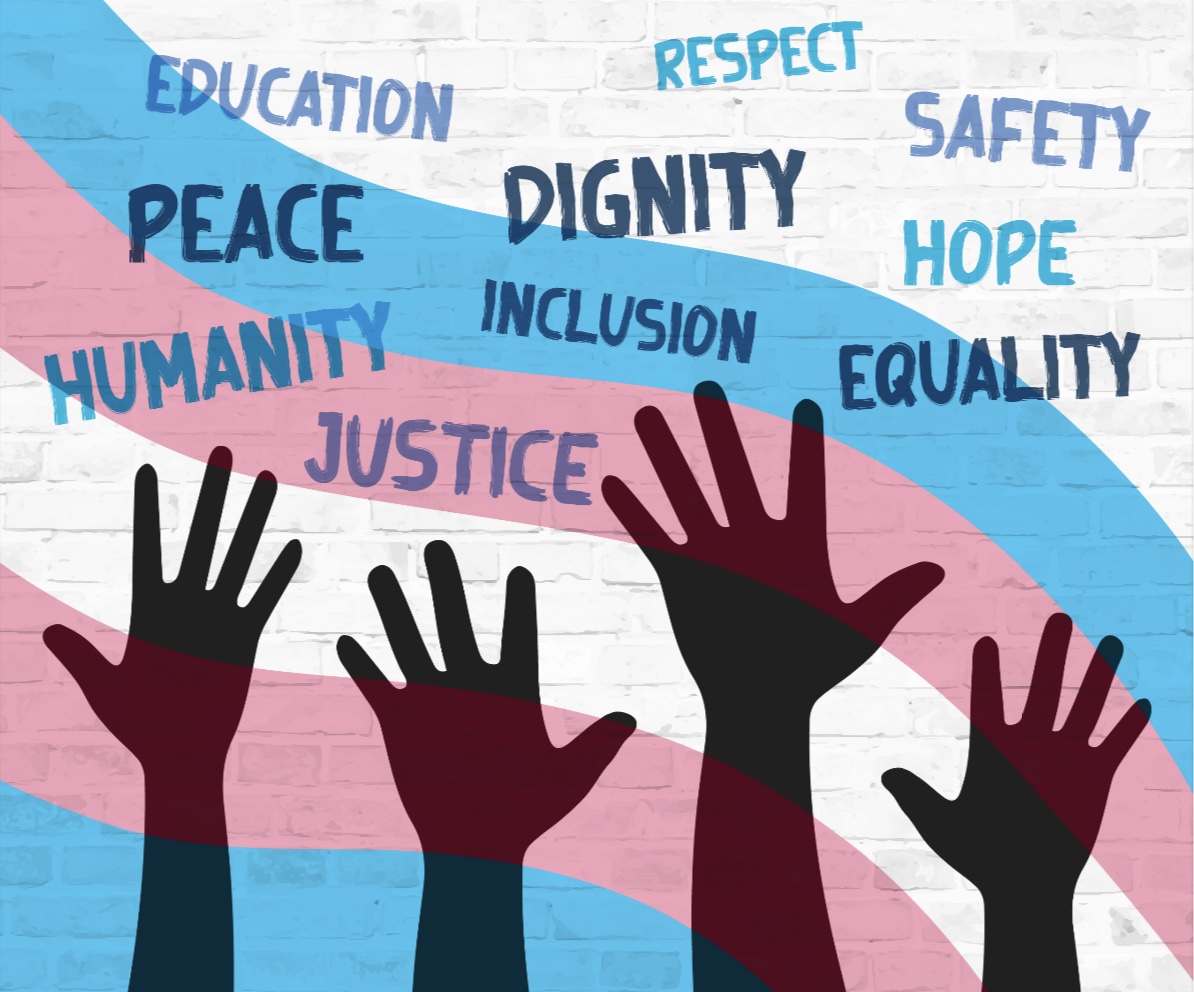 New York Education Department Transgender Inclusion