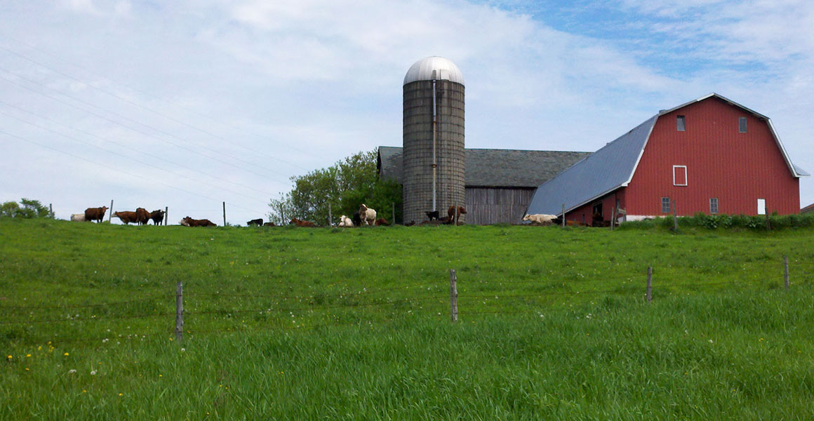 New York Farm Ag