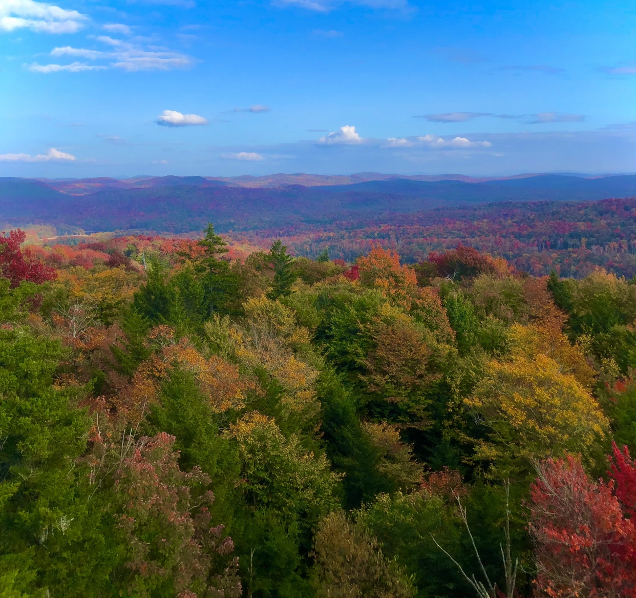 Stillwater Fire tower Fall 2023
