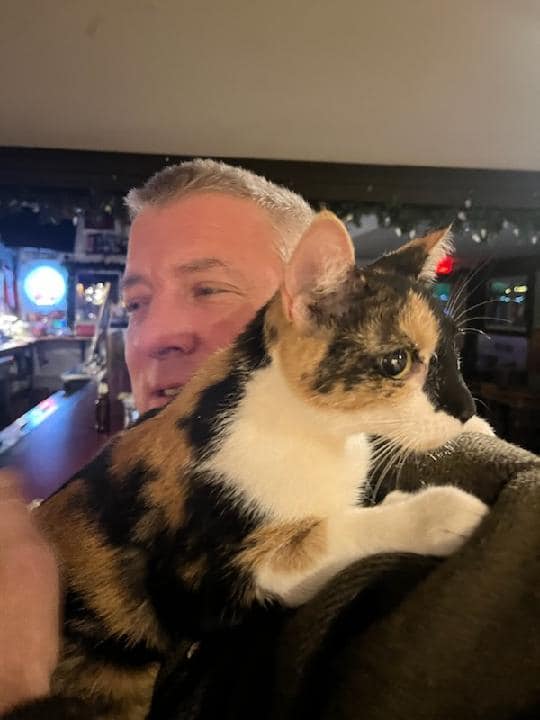 Tow Bar Cat Mistle tow