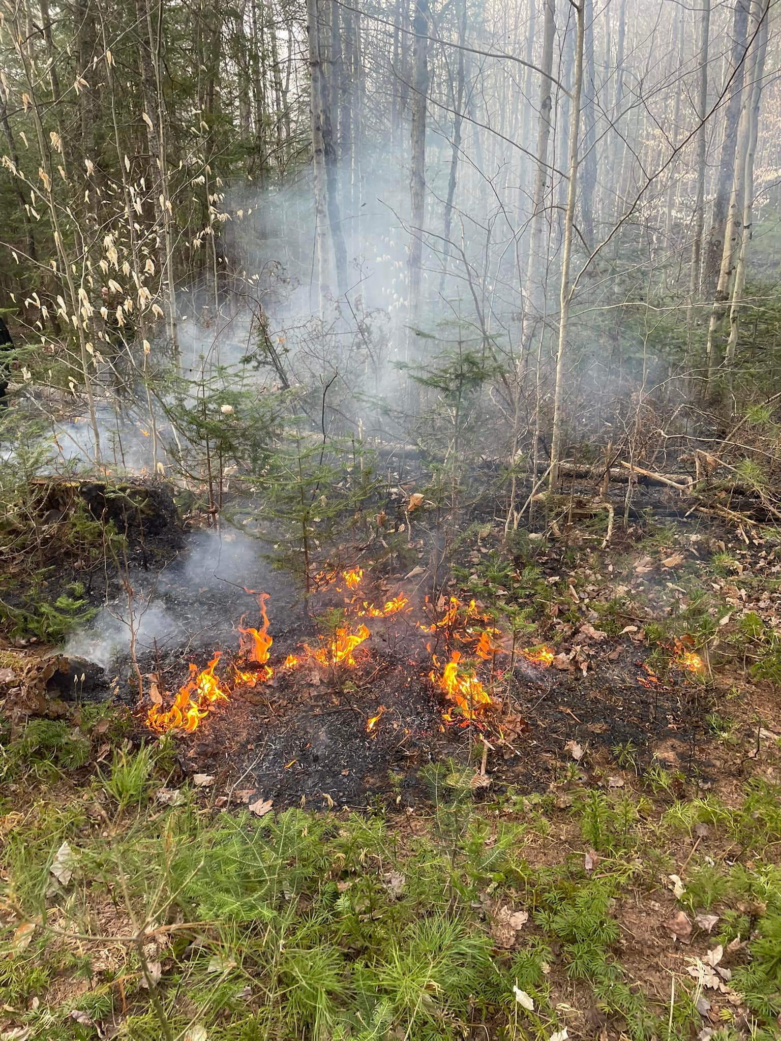 Woodgate Forest Fire May 1 2022