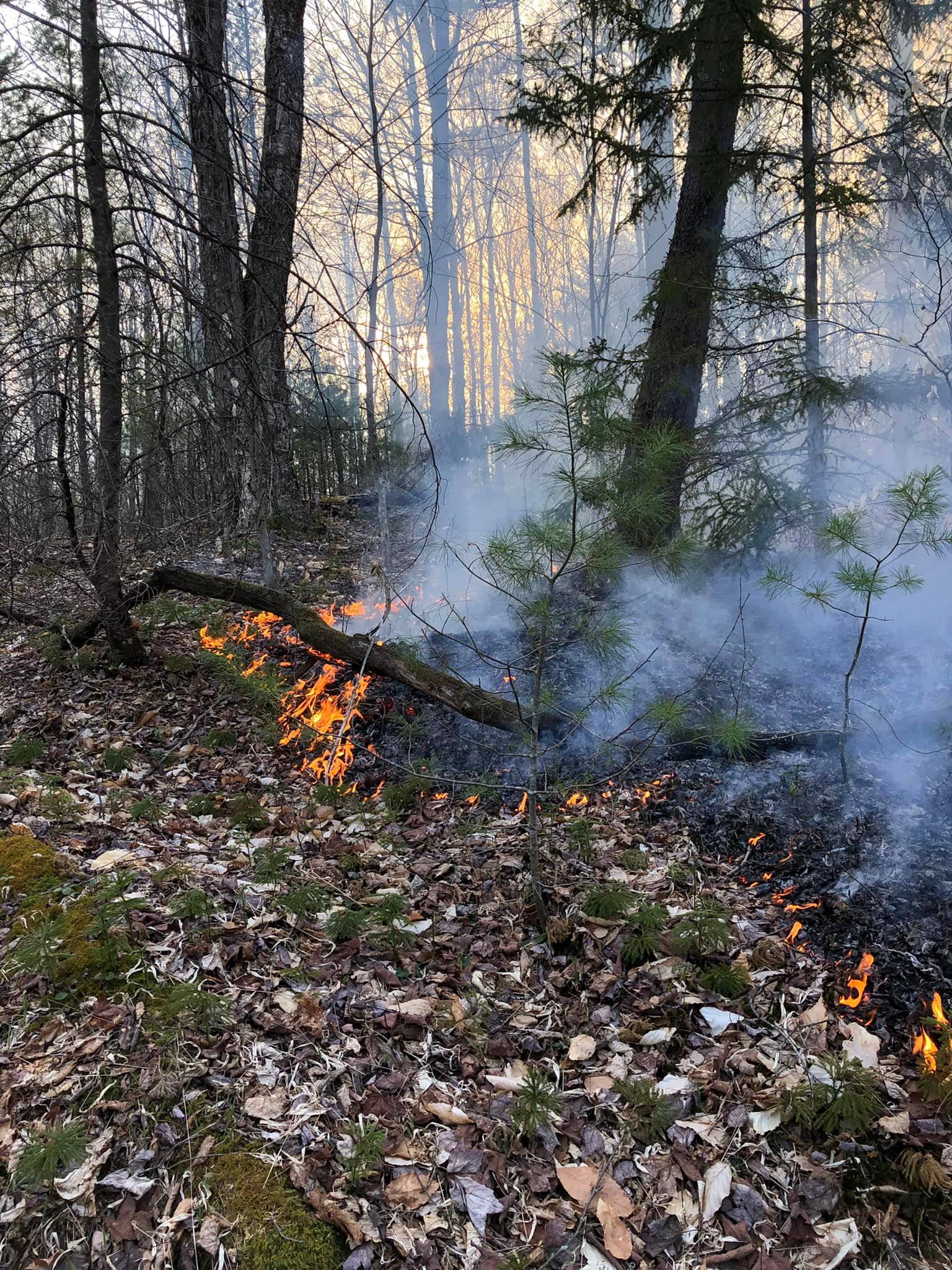 Woodgate Forest Fire May 1 2 2022